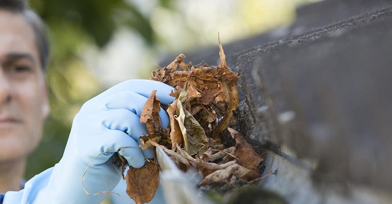 Gutter Cleaning Service Locust Point, Baltimore