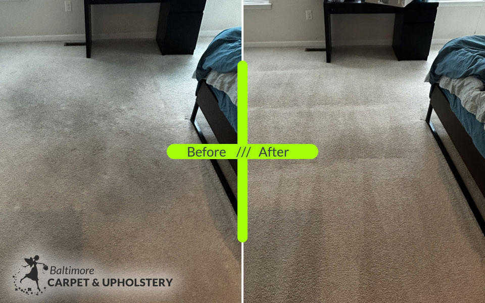 Carpet steam cleaning in Carney, MD